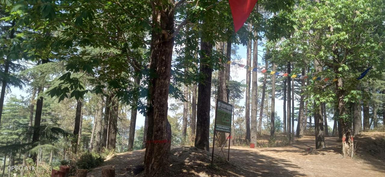 Evergreen Home Stay Almora Bagian luar foto
